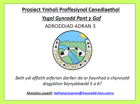 cover of Prosiect Ymholi Proffesiynol Cenedlaethol report